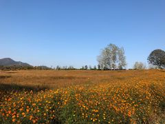 -云幽谷旅游区
