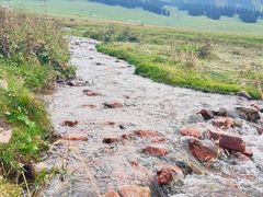 -新疆那拉提国家旅游度假区
