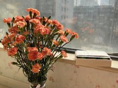 -ZIYUE CAKE线上店