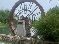 -洋湖国家湿地公园