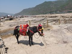 -陕西黄河壶口瀑布旅游区