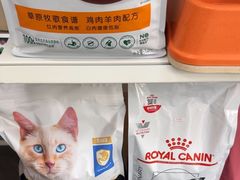 -宠颐生宠物医院外科·内科·皮肤科·影像科(石龙店)
