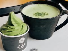 -雪绿茶博物馆