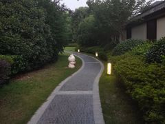 -同里湖度假村(二期店)