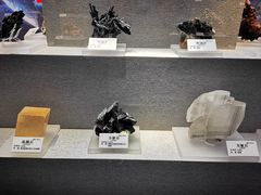 -贵州省地质博物馆