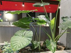 -陈熹公民族美食文化餐厅(中华广场店)
