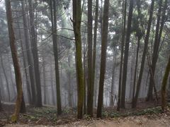 -井冈山风景名胜区