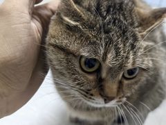 -中农国际动物医院24小时·猫科·骨科·急重症中心