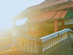 -大屏嶂森林公园