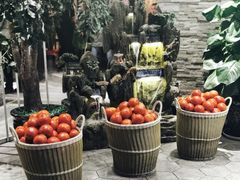 -蕃茄述·好汤自然来(江汉路店)