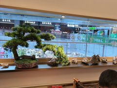 -七条鱼日本料理(远洋乐堤港店)