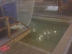 -青岛香根温泉酒店