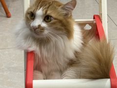 -氷冰凉刨冰甜品(北京路店)