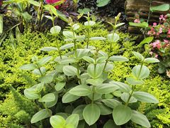 -聚福宝合苑食府(南头镇店)