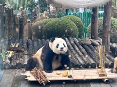 -大连森林动物园