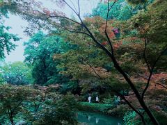 -岳麓山风景名胜区