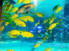 -成都浩海立方海洋公园