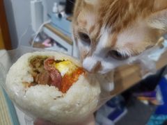 -秋英饭团(大庙新村店)