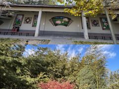 -莲花池公园