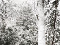 -藏龙百瀑风景区
