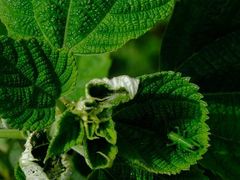 -东钱湖旅游度假区