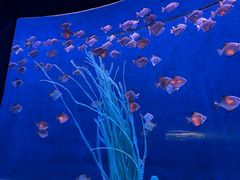 -沈阳海洋探索中心