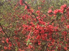 iphone_upload_pic-郑州植物园