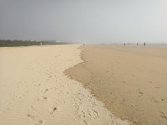 -日照海滨国家森林公园