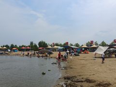-呼兰河口湿地公园