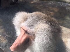 -灵玲国际马戏城