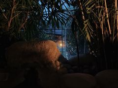 -三江森林温泉度假区