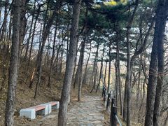 -阳台山自然风景区