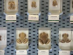-浙江自然博物院(杭州馆)