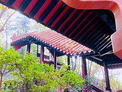 -东湖磨山景区