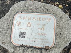 -上海佘山国家森林公园天马山园