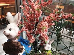 -苗小坛酸汤鱼(酒仙桥店)