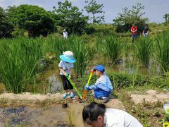 -铁山坪森林公园