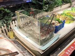 -釜御山海鲜烤肉火锅自助(新城市中心店)
