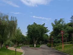 -眉山湿地公园(东坡区)