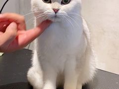 -PETKIT小佩宠物·低压洗护(国顺东路店)