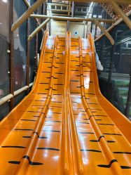 -卡通尼·Safari非洲探索乐园·生日会(金桥国际商业广场店)