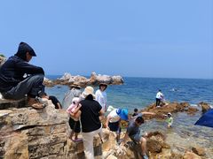 -养马岛旅游度假区