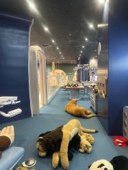 -奈尔宝家庭中心·亲子餐厅(鄞州万达店)