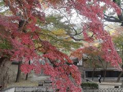 -青岛崂山太清宫