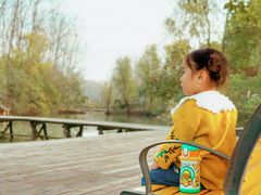 -合肥滨湖国家森林公园