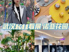 -武汉光谷K11
