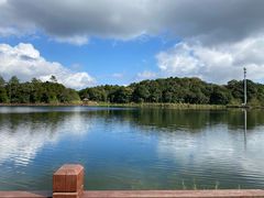 -海南热带雨林国家公园吊罗山景区