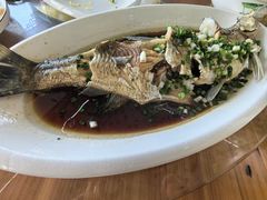 -宾湖农庄·农场特色(太湖龙之梦店)