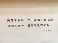 -猫的天空之城概念书店(苏州平江店)
