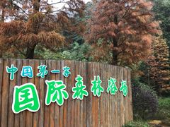 -广州市石门国家森林公园
